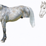 découvrez notre guide pas à pas pour apprendre à dessiner un cheval facilement et avec efficacité, même si vous êtes débutant.