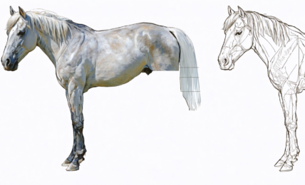 découvrez notre guide pas à pas pour apprendre à dessiner un cheval facilement et avec efficacité, même si vous êtes débutant.