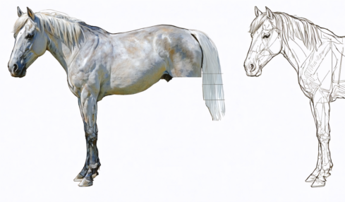 découvrez notre guide pas à pas pour apprendre à dessiner un cheval facilement et avec efficacité, même si vous êtes débutant.