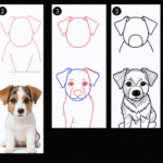découvrez comment dessiner un chien facilement grâce à des étapes simples et rapides, adaptées à tous les niveaux pour progresser rapidement.