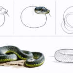 découvrez un guide simple et détaillé pour apprendre à dessiner un serpent facilement, étape par étape, même si vous êtes débutant.